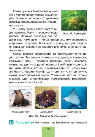 Розташування Тихого океану май­
же в усіх теплових поясах Землі (ок­
рім північного полярного) зумовлює
різноманітність рослинного і тварин­
ного світу.
У Тихому океані росте багато ви­
дів зелених, бурих і червоних водо­
ростей. Важливе значення для лю­
дини має ламінарія — бура водорість, яку називають
морською капустою. її вживають у їжу, використовують
як корм для худоби і як добриво для полів, з неї виготов­
ляють ліки.
Океан вражає численністю та багатоманітністю ви­
дів тварин. Тут живуть молюски — устриці, восьминоги,
кальмари; риби — скумбрії, оселедці, акули, камбали,
скати; плазуни — морські черепахи і змії; звірі — дельфі­
ни, кити, морські котики й морські леви. У Тихому оке­
ані багато тварин-гігантів. Це — сині кити, китові акули,
скати, велетенські кальмари. У північній частині океану
мешкає один з найбільших представників ракоподіб­
них — камчатський краб.
Морський лев Восьминіг Скат манта
Мал. 38. Тварини Тихого океану
Поміркуйте! Яке значення має Тихий океан для людства?
58
 
