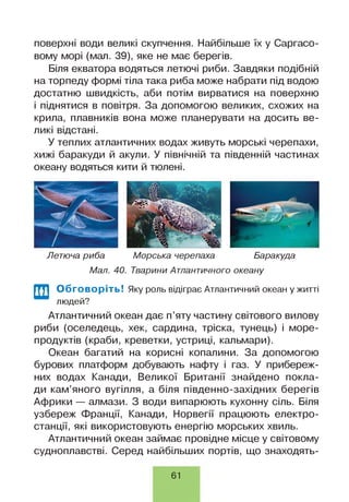 поверхні води великі скупчення. Найбільше їх у Саргасо-
вому морі (мал. 39), яке не має берегів.
Біля екватора водяться летючі риби. Завдяки подібній
на торпеду формі тіла така риба може набрати під водою
достатню швидкість, аби потім вирватися на поверхню
і піднятися в повітря. За допомогою великих, схожих на
крила, плавників вона може планерувати на досить ве­
ликі відстані.
У теплих атлантичних водах живуть морські черепахи,
хижі баракуди й акули. У північній та південній частинах
океану водяться кити й тюлені.
Летюча риба Морська черепаха Баракуда
Мал. 40. Тварини Атлантичного океану
Обговоріть! Яку роль відіграє Атлантичний океан ужитті
людей?
Атлантичний океан дає п’яту частину світового вилову
риби (оселедець, хек, сардина, тріска, тунець) і море­
продуктів (краби, креветки, устриці, кальмари).
Океан багатий на корисні копалини. За допомогою
бурових платформ добувають нафту і газ. У прибереж­
них водах Канади, Великої Британії знайдено покла­
ди кам’яного вугілля, а біля південно-західних берегів
Африки — алмази. З води випарюють кухонну сіль. Біля
узбереж Франції, Канади, Норвегії працюють електро­
станції, які використовують енергію морських хвиль.
Атлантичний океан займає провідне місце у світовому
судноплавстві. Серед найбільших портів, що знаходять­
61
 