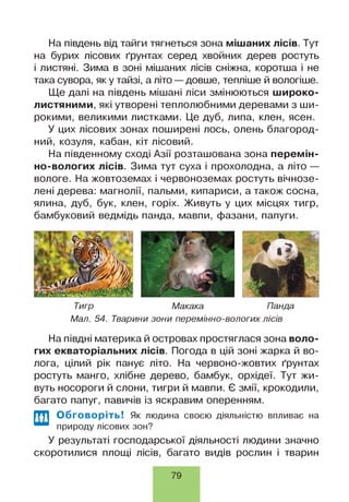 На південь від тайги тягнеться зона мішаних лісів. Тут
на бурих лісових ґрунтах серед хвойних дерев ростуть
і листяні. Зима в зоні мішаних лісів сніжна, коротша і не
така сувора, як у тайзі, а літо —довше, тепліше й вологіше.
Ще далі на південь мішані ліси змінюються широко­
листяними, які утворені теплолюбними деревами з ши­
рокими, великими листками. Це дуб, липа, клен, ясен.
У цих лісових зонах поширені лось, олень благород­
ний, козуля, кабан, кіт лісовий.
На південному сході Азії розташована зона перемін­
но-вологих лісів. Зима тут суха і прохолодна, а літо —
вологе. На жовтоземах і червоноземах ростуть вічнозе­
лені дерева: магнолії, пальми, кипариси, а також сосна,
ялина, дуб, бук, клен, горіх. Живуть у цих місцях тигр,
бамбуковий ведмідь панда, мавпи, фазани, папуги.
Тигр Макака Панда
Мал. 54. Тварини зони перемінно-вологих лісів
На півдні материка й островах простяглася зона воло­
гих екваторіальних лісів. Погода в цій зоні жарка й во­
лога, цілий рік панує літо. На червоно-жовтих ґрунтах
ростуть манго, хлібне дерево, бамбук, орхідеї. Тут жи­
вуть носороги й слони, тигри й мавпи. Є змії, крокодили,
багато папуг, павичів із яскравим оперенням.
Обговоріть! Як людина своєю діяльністю впливає на
природу лісових зон?
У результаті господарської діяльності людини значно
скоротилися площі лісів, багато видів рослин і тварин
79
 