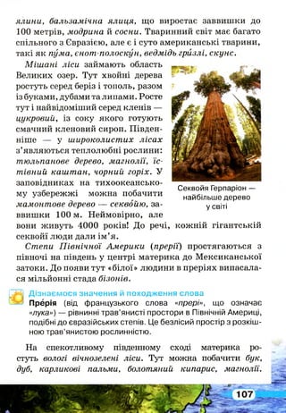ялини, бальзамічна ялиця, що виростає заввишки до
100 метрів, модрина й сосни. Тваринний світ має багато
спільного з Євразією, але є і суто американські тварини,
такі як пума, єнот-полоскун, ведмідь гризлі, скунс.
Мішані ліси займають область
Великих озер. Тут хвойні дерева
ростуть серед беріз і тополь, разом
із буками, дубами та липами. Росте
тут і найвідоміший серед кленів —
цукровий, із соку якого готують
смачний кленовий сироп. Півден­
ніше — у широколистих лісах
з’являються теплолюбні рослини:
тюльпанове дерево, магнолії, їс­
тівний каштан, чорний горіх. У
заповідниках на тихоокеансько­
му узбережжі можна побачити
мамонтове дерево — секвойю, за­
ввишки 100 м. Неймовірно, але
вони живуть 4000 років! До речі, кожній гігантській
секвойї люди дали ім’я.
Степи Північної Америки (прерії) простягаються з
півночі на південь у центрі материка до Мексиканської
затоки. До появи тут «білої» людини в преріях випасала­
ся мільйонні стада бізонів.
Секвойя Герпаріон -
найбільше дерево
у світі
Дізнаємося значення й походження слова
Прерія (від французького слова «прєрі», що означає
«лука») — рівнинні трав’янисті простори в Північній Америці,
подібні до євразійських степів. Це безлісий простір з розкіш­
ною трав’янистою рослинністю.
На спекотливому південному сході материка ро­
стуть вологі вічнозелені ліси. Тут можна побачити бук,
дуб, карликові пальми, болотяний кипарис, магнолії.
 