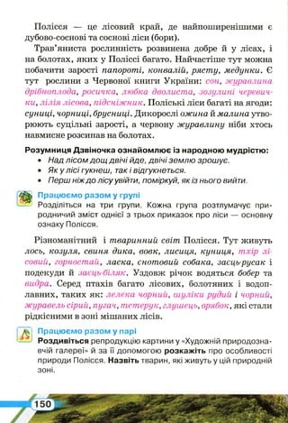 Полісся — це лісовий край, де найпоширенішими є
дубово-соснові та соснові ліси (бори).
Трав’яниста рослинність розвинена добре й у лісах, і
на болотах, яких у Поліссі багато. Найчастіше тут можна
побачити зарості папороті, конвалій, рясту, медунки. Є
тут рослини з Червоної книги України: сон, журавлина
дрібноплода, росичка, любка дволиста, зозулині черевич­
ки, л іл ія лісова, п ід сн іж н и к. Поліські ліси багаті на ягоди:
суниці, чорниці, брусниці. Дикорослі ож ина й малина утво­
рюють суцільні зарості, а червону ж уравлину ніби хтось
навмисне розсипав на болотах.
Розумниця Дзвіночка ознайомлює із народною мудрістю:
• Над лісом дощ двічі йде, двічі землю зрошує.
• Я ку лісі гукнеш, так і відгукнеться.
• Перш ніж до лісу увійти, поміркуй, як із нього вийти.
щ
Працюємо разом у групі
^ Розділіться на три групи. Кожна група розтлумачує при­
родничий зміст однієї з трьох приказок про ліси — основну
ознаку Полісся.
Різноманітний і т варинний світ Полісся. Тут живуть
лось, козуля, свиня дика, вовк, лисиця, куниця, т хір л і­
совий, горностай, ласка, єнотовий собака, заєць-русак і
подекуди й заєць-біляк. Уздовж річок водяться бобер та
видра. Серед птахів багато лісових, болотяних і водоп­
лавних, таких як: лелека чорний, ш уліки рудий і чорний,
журавель сірий, пугач, тетерук, глушець, орябок, які стали
рідкісними в зоні мішаних лісів.
Працюємо разом у парі
Роздивіться репродукцію картини у «Художній природозна­
вчій галереї» й за її допомогою розкажіть про особливості
природи Полісся. Назвіть тварин, які живуть у цій природній
зоні.
 