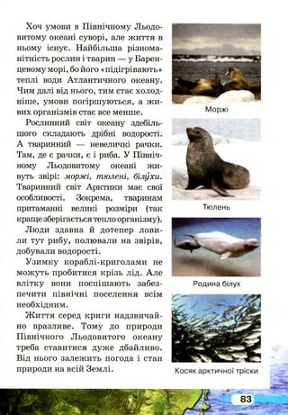 Моржі
Тюлень
Хоч умови в Північному Льодо­
витому океані суворі, але життя в
ньому існує. Найбільша різнома­
нітність рослин і тварин — у Барен-
цевомуморі, бо його «підігрівають»
теплі води Атлантичного океану.
Чим далі від нього, тим стає холод­
ніше, умови погіршуються, а жи­
вих організмів стає все менше.
Рослинний світ океану здебіль­
шого складають дрібні водорості.
А тваринний — невеличкі рачки.
Там, де є рачки, є і риба. У Північ­
ному Льодовитому океані жи­
вуть звірі: моржі, тюлені, білухи.
Тваринний світ Арктики має свої
особливості. Зокрема, тваринам
притаманні великі розміри (так
краще зберігається тепло організму).
Люди здавна й дотепер лови­
ли тут рибу, полювали на звірів,
добували водорості.
Узимку кораблі-криголами не
можуть пробитися крізь лід. А ле
влітку вони поспішають забез­
печити північні поселення всім
необхідним.
Життя серед криги надзвичай­
но вразливе. Тому до природи
Північного Льодовитого океану
треба ставитися дуже дбайливо.
Від нього залежить погода і стан
природи на всій Землі.
Родина білух
І
 