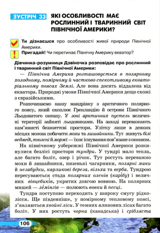 ЗУСТРІЧ 33 ЯКІ ОСОБЛИВОСТІ МАЄ
РОСЛИННИЙ І ТВАРИННИЙ СВІТ
ПІВНІЧНОЇ АМЕРИКИ?
Ти дізнаєшся про особливості живої природи Північної
Америки.
Пригадай! Чи перетинає Північну Америку екватор?
Дівчинка-розумниця Дзвіночка розповідає про рослинний
і тваринний світ Північної Америки:
— Північна Америка розташовується в полярному
холодному, помірному й частково спекотливому еквато­
ріальному поясах Землі. Але вона досить віддалена від
екватора. Природні умови Північної Америки дещо схожі
з євразійськими.
Розпочинаємо нашу мандрівку з арктичного полярно­
го поясу, який охоплює Гренландію й острови Північного
Льодовитого океану. У зоні арктичних пустель величез­
ні території зайняті льодовиками. На заході переважають
кам’янисті безжиттєві простори. Улітку лише в деяких
місцях можна побачити мохи та лишайники. Тут живуть білі
ведмеді, тюлені йморжі — їхнє існування пов’язанезокеаном.
На північному узбережжі Північної Америки розки­
нулися безлісі простори тундри. У тундрі мало тепла,
але багато боліт, озер і річок. Тут ростуть переважно
мохи й лишайники, низенькі чагарники, полярні маки
й незабудки, карликові береза, вільха та верба. Тундрою
пересуваються стада полярних оленів (карібу) і велич­
них вівцебиків, укритих довгою вовною. На полярних
мишей — лемінгів — полюють вовки й песці.
Тундра поступово переходить у широку смугу рідко­
лісся. Ще південніше, у помірному тепловому поясі,
з’являються хвойні ліси. У темних ялинових лісах багато
боліт. У них ростуть чорна (канадська) і срібляста
 