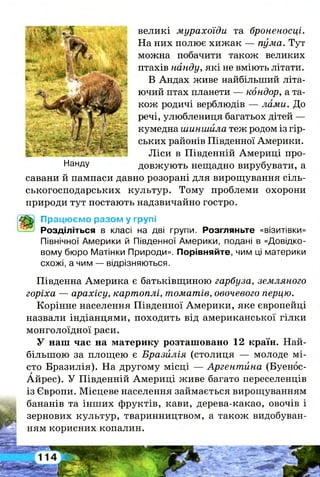 великі мурахоїди та броненосці.
На них полює хижак — пума. Тут
можна побачити також великих
птахів нанду, які не вміють літати.
В Андах живе найбільший літа­
ючий птах планети — кондор, а та­
кож родичі верблюдів — лами. До
речі, улюблениця багатьох дітей —
кумедна шиншила теж родом із гір­
ських районів Південної Америки.
Ліси в Південній Америці про­
довжують нещадно вирубувати, а
савани й пампаси давно розорані для вирощування сіль­
ськогосподарських культур. Тому проблеми охорони
природи тут постають надзвичайно гостро.
Нанду
Працюємо разом у групі
Розділіться в класі на дві групи. Розгляньте «візитівки»
Північної Америки й Південної Америки, подані в «Довідко­
вому бюро Матінки Природи». Порівняйте, чим ці материки
схожі, а чим — відрізняються.
Південна Америка є батьківщиною гарбуза, земляного
горіха — арахісу, картоплі, томатів, овочевого перцю.
Корінне населення Південної Америки, яке європейці
назвали індіанцями, походить від американської гілки
монголоїдної раси.
У наш час на материку розташовано 12 країн. Най­
більшою за площею є Бразилія (столиця — молоде мі­
сто Бразилія). На другому місці — Аргентина (Буенос-
Айрес). У Південній Америці живе багато переселенців
із Європи. Місцеве населення займається вирощуванням
бананів та інших фруктів, кави, дерева-какао, овочів і
зернових культур, тваринництвом, а також видобуван­
ням корисних копалин.
 