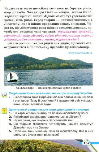 Численне птаство полюбляє селитися на берегах річок,
озер і ставків. Чапля сіра і біла — чепура, лелека білий,
мартини, кулики, чайка, деркач мають тут удосталь їжі:
комах, жаб, риби. Серед тварин — найчисленнішими в
Лісостепу, як і в інших природних зонах, є комахи. Че­
рез те, що лісостепова зона щільно заселена людьми, по­
требують охорони такі тварини: тушканчик великий,
горностай, тхір лісовий, видра річкова, ящірка зелена,
мідянка, гадюка степова, пугач, журавель сірий.
Багато рослин і тварин рідкісних видів, що зникають,
охороняються в Канівському природному заповіднику.
ллллл/. к а п іу Ь іо Б Іе г а
Канівські гори — одне з природних чудес України
Сторінками Книги важливих знань про природу України
• Лісостепова зона є проміжною між зоною мішаних лісів
і степовою. Тому її рослинний і тваринний світ утворю­
ють і лісові, і степові види.
Запитання й завдання для юних дослідників природи
1. На карті України знайди та покажи лісостепову зону.
2 . Які області України розташовуються в цій зоні?
3. Назви річки, що течуть у лісостеповій зоні.
4 . Які тварини Лісостепу потребують нашого захисту?
Дізнайся про них більше.
5 . Порівняй зони мішаних лісів та лісостепову. Що в них
спільного й чим вони різняться?
 