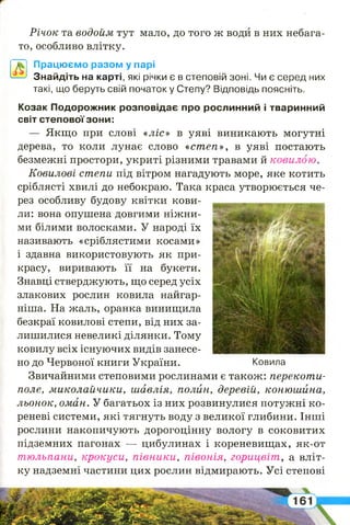 Р ічок та водойм тут мало, до того ж води в них небага­
то, особливо влітку.
Працюємо разом у парі
Знайдіть на карті, які річки є в степовій зоні. Чи є серед них
такі, що беруть свій початок у Степу? Відповідь поясніть.
Козак Подорожник розповідає про рослинний і тваринний
світ степової зони:
— Якщо при слові «ліс» в уяві виникають могутні
дерева, то коли лунає слово «степ», в уяві постають
безмежні простори, укриті різними травами й ковилою.
Ковилові степи під вітром нагадують море, яке котить
сріблясті хвилі до небокраю. Така краса утворюється че­
рез особливу будову квітки кови­
ли: вона опушена довгими ніжни­
ми білими волосками. У народі їх
називають «сріблястими косами»
і здавна використовують як при­
красу, виривають її на букети.
Знавці стверджують, що серед усіх
злакових рослин ковила найгар-
ніша. На жаль, оранка винищила
безкраї ковилові степи, від них за­
лишилися невеликі ділянки. Тому
ковилу всіх існуючих видів занесе­
но до Червоної книги України.
Звичайними степовими рослинами є також: перекот и­
поле, м иколайчики, ш авлія, полин, деревій, коню ш ина,
льонок, оман. У багатьох із них розвинулися потужні ко­
реневі системи, які тягнуть воду з великої глибини. Інші
рослини накопичують дорогоцінну вологу в соковитих
підземних пагонах — цибулинах і кореневищах, як-от
тюльпани, крокуси, п ів н и ки , півонія, горицвіт , а вліт­
ку надземні частини цих рослин відмирають. Усі степові
Ковила
І
 