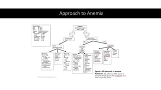 4_PHAS 609 Clinical Medicine I Lecture 1.pdf