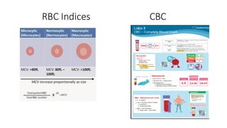 4_PHAS 609 Clinical Medicine I Lecture 1.pdf
