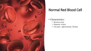 Bhc Normal 4_PHAS 609 Clinical Medicine I Lecture 1.pdf