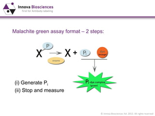 © Innova Biosciences ltd. 2013. All rights reserved
Malachite green assay format – 2 steps:
(i) Generate Pi
(ii) Stop and measure
 