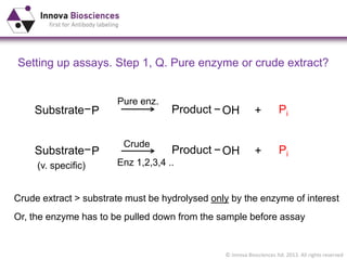 © Innova Biosciences ltd. 2013. All rights reserved
Substrate P Product OH Pi+
Pure enz.
Crude extract > substrate must be hydrolysed only by the enzyme of interest
Or, the enzyme has to be pulled down from the sample before assay
Substrate P Product OH Pi+
Crude
(v. specific) Enz 1,2,3,4 ..
Setting up assays. Step 1, Q. Pure enzyme or crude extract?
 