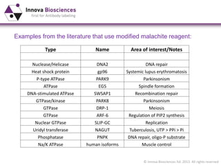 © Innova Biosciences ltd. 2013. All rights reserved
Examples from the literature that use modified malachite reagent:
Type Name Area of interest/Notes
Nuclease/Helicase DNA2 DNA repair
Heat shock protein gp96 Systemic lupus erythromatosis
P-type ATPase PARK9 Parkinsonism
ATPase EG5 Spindle formation
DNA-stimulated ATPase SWSAP1 Recombination repair
GTPase/kinase PARK8 Parkinsonism
GTPase DRP-1 Meiosis
GTPase ARF-6 Regulation of PIP2 synthesis
Nuclear GTPase SLIP-GC Replication
Uridyl transferase NAGUT Tuberculosis, UTP > PPi > Pi
Phosphatase PNPK DNA repair, oligo-P substrate
Na/K ATPase human isoforms Muscle control
 