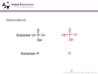 © Innova Biosciences ltd. 2013. All rights reserved
8
P O-
O
OH
Substrate O
Substrate P
P O-
O
OH
OH
Pi
Abbreviations:
 
