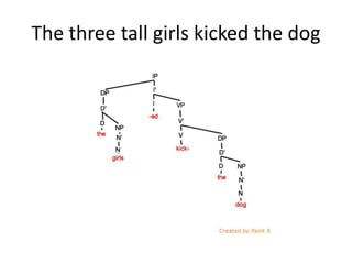 The three tall girls kicked the dog
 