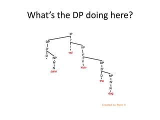 What’s the DP doing here?
 