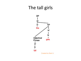 The tall girls
 