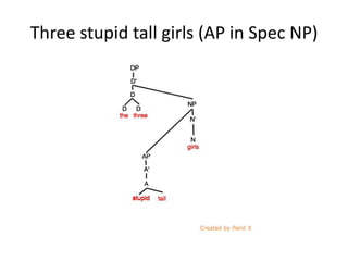 Three stupid tall girls (AP in Spec NP)
 