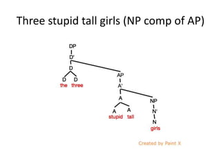 Three stupid tall girls (NP comp of AP)
 