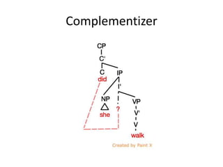 Complementizer
 