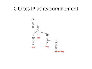 C takes IP as its complement
 