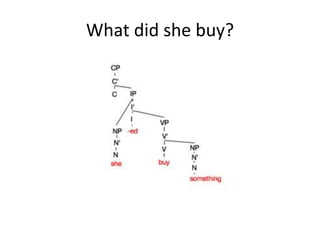 What did she buy?
 