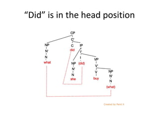 “Did” is in the head position
 