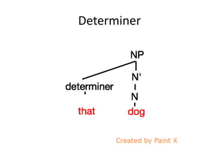 Determiner
 