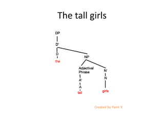 The tall girls
 