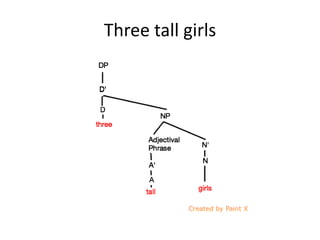 Three tall girls
 