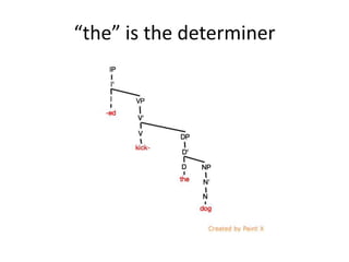 “the” is the determiner
 