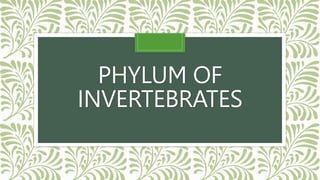 PHYLUM OF
INVERTEBRATES
 