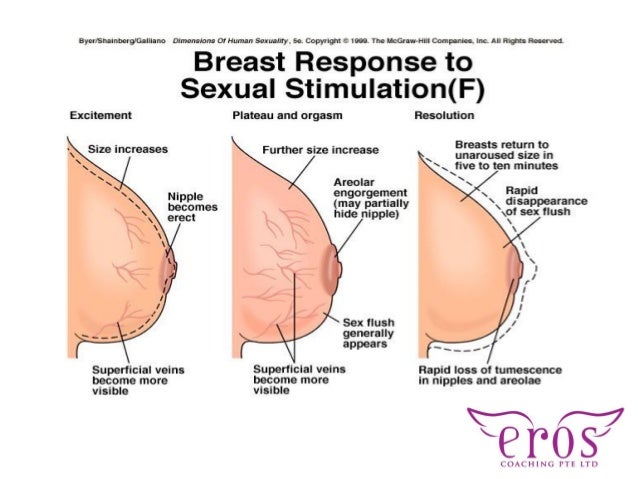 Female Male Orgasm 94