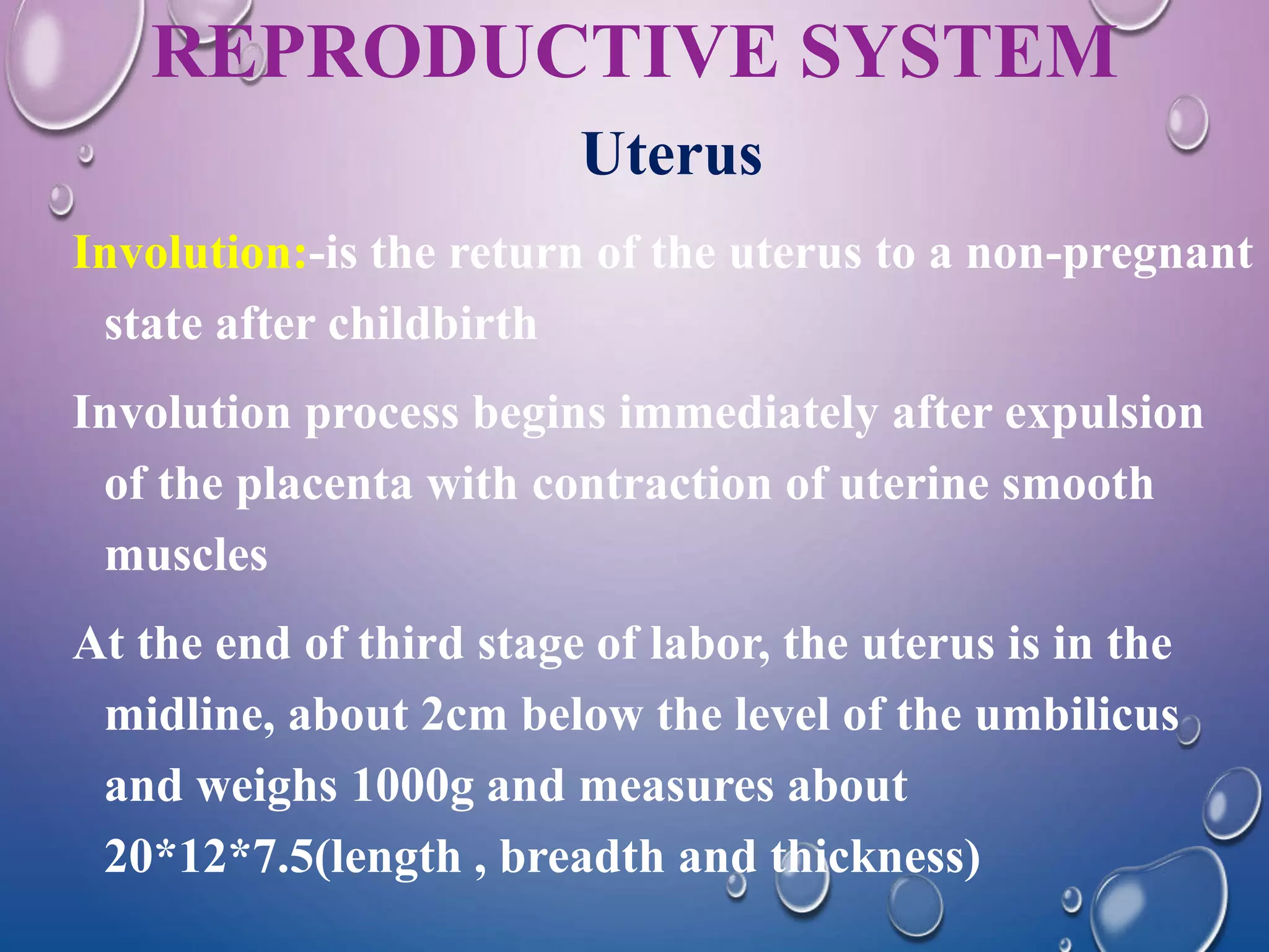 Physiology of puerperium | PPTX