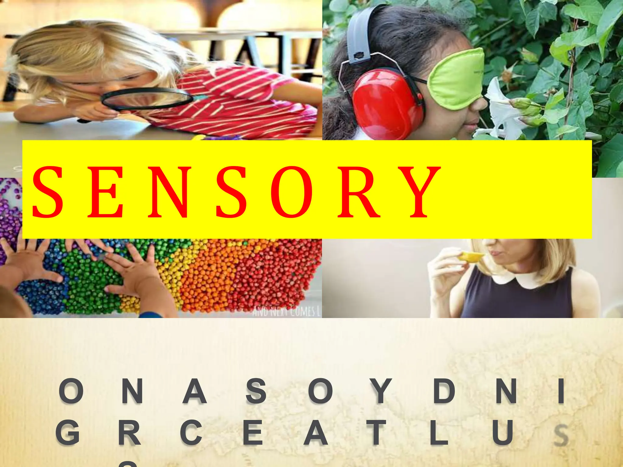 O N A S O Y D N I
G R C E A T L U
S E N S O R Y