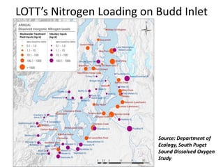 LOTT’s Nitrogen Loading on Budd Inlet
Source: Department of
Ecology, South Puget
Sound Dissolved Oxygen
Study
 