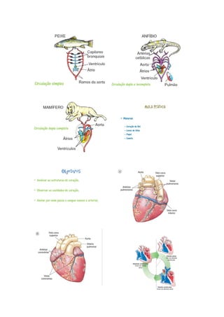 4 planodeaula rejanesilva