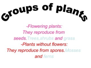 -Flowering plants:
They reproduce from
seeds.Trees,shrubs and grass
-Plants without flowers:
They reproduce from spores.Mosses
and ferns

 