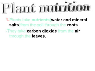 1-Plants take nutrients(water and mineral
salts)from the soil through the roots
-They take carbon dioxide from the air
through the leaves.

 