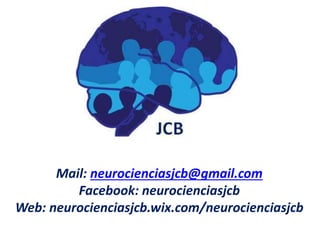 Mail: neurocienciasjcb@gmail.com
Facebook: neurocienciasjcb
Web: neurocienciasjcb.wix.com/neurocienciasjcb
 