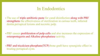 In Endodontics
• The use of triple antibiotic paste for canal disinfection along with PRF
strengthens the effectiveness of sterilization in carious teeth, infected
dentin,periapical lesions and necrotic pulp.
• PRF causes proliferation of pulp cells and also increases the expression of
osteoprotegerin and Alkaline phosphatase activity.
• PRF and tricalcium phosphate(TCP) bone graft have synergistic effect in
treating periapical cysts.
 