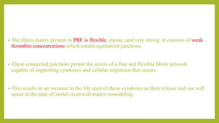 • The fibrin matrix present in PRF is flexible, elastic, and very strong. It consists of weak
thrombin concentrations which entails equilateral junctions.
• These connected junctions permit the ecesis of a fine and flexible fibrin network
capable of supporting cytokines and cellular migration that occurs.
• This results in an increase in the life span of these cytokines as their release and use will
occur at the time of initial cicatricial matrix remodeling.
 