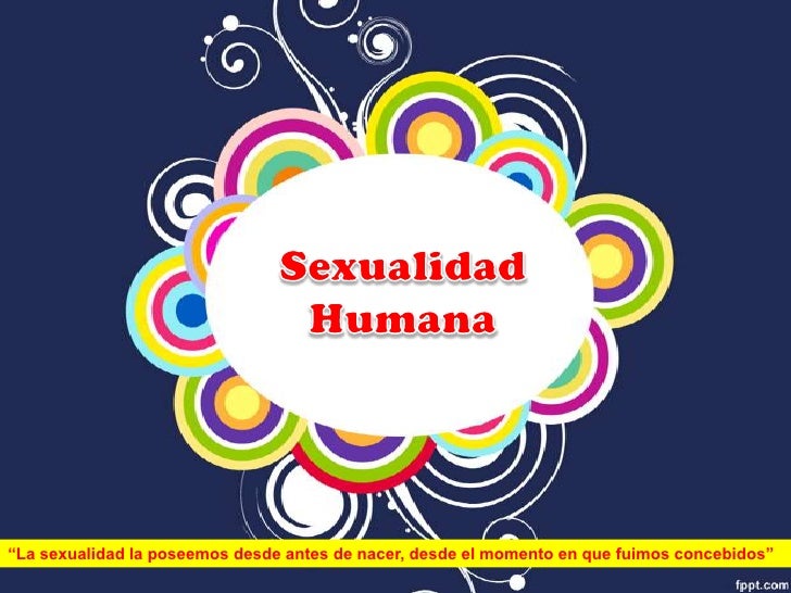 4 potencialidades