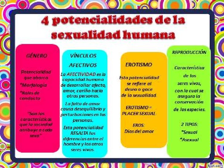 4 potencialidades