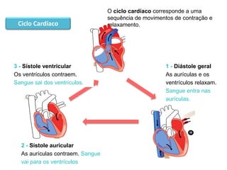 Sistema cardiovascular