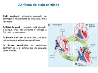 Sistema cardiovascular