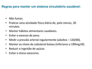 Sistema cardiovascular