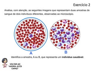 Sistema cardiovascular