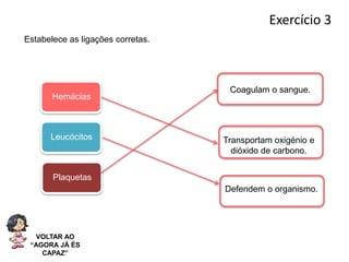 Sistema cardiovascular