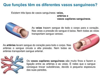 Sistema cardiovascular