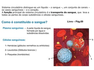 Como é constituído o sangue?
Sistema circulatório distingue-se um líquido – o sangue –, um conjunto de canais –
os vasos sanguíneos – e o coração.
A função principal do sistema circulatório é o transporte do sangue, que leva a
todas as partes do corpo substâncias e células sanguíneas.
3- Plaquetas (trombócitos)
Células sanguíneas:
2- Leucócitos (Glóbulos brancos )
1- Hemácias (glóbulos vermelhos ou eritrócitos)
Plasma sanguíneo – A parte líquida do sangue,
formada por água e
substâncias dissolvidas.
1
3
2
Livro – Pág.69
 